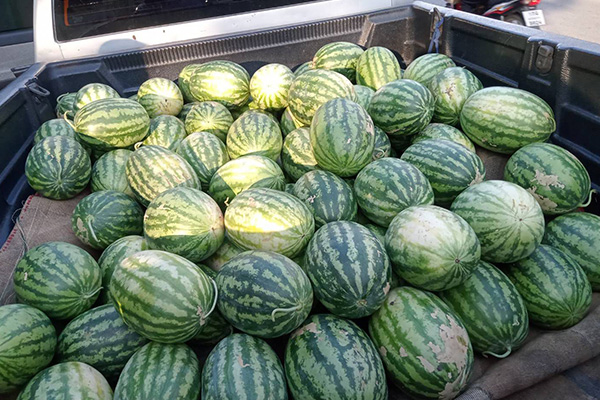 การแข่งขันโบว์ลิ่งการกุศล 