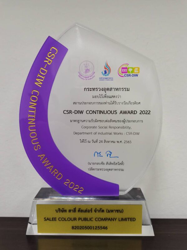 CSR-DIW Continuous Award 2022